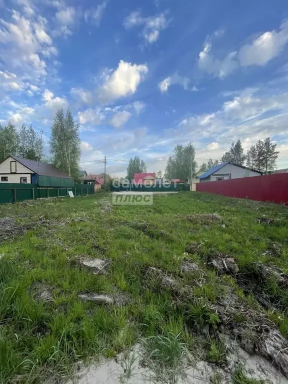 Участок в Ханты-Мансийский АО, Сургут Березовое садовое товарищество, ... - Фото 1