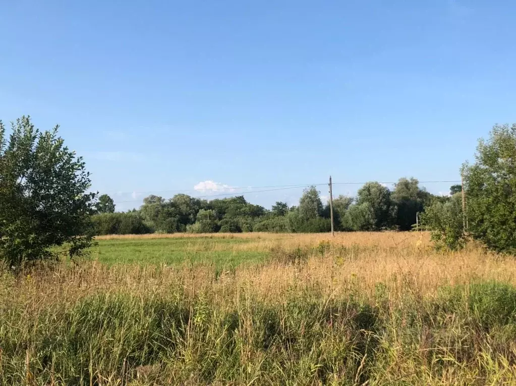 Участок в Новгородская область, Новгородский район, Бронницкое с/пос, ... - Фото 0