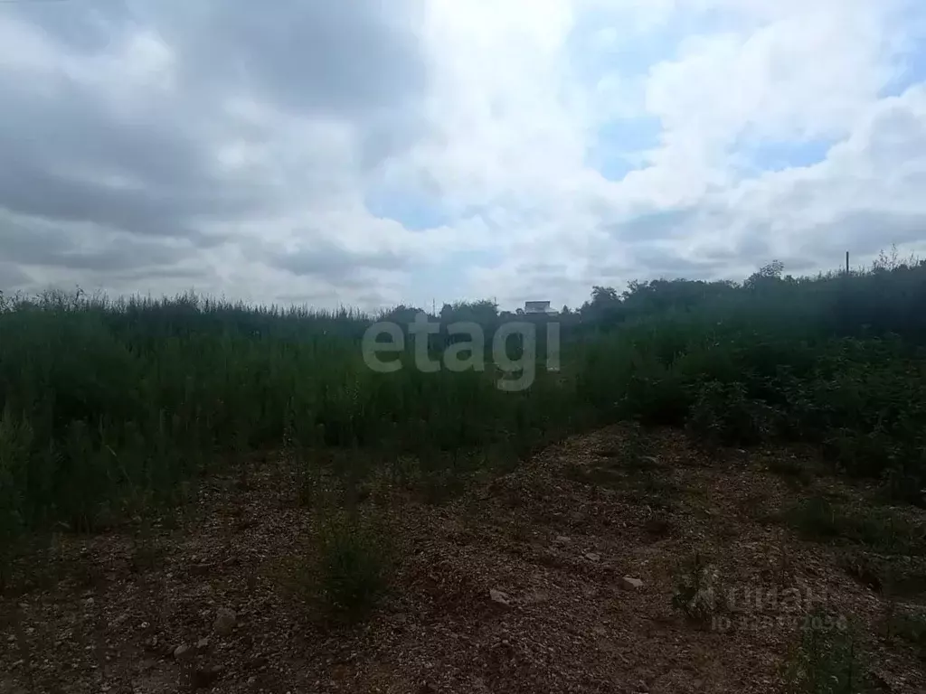 Участок в Амурская область, Благовещенский район, с. ... - Фото 2