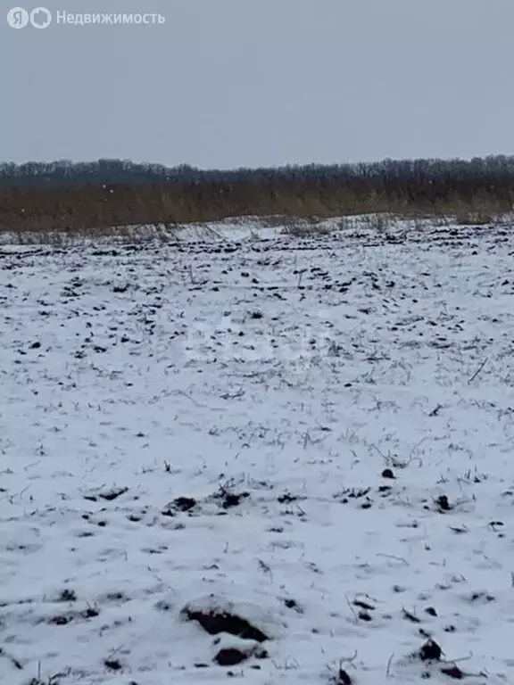 Участок в Белгородский район, Головинское сельское поселение, село ... - Фото 0