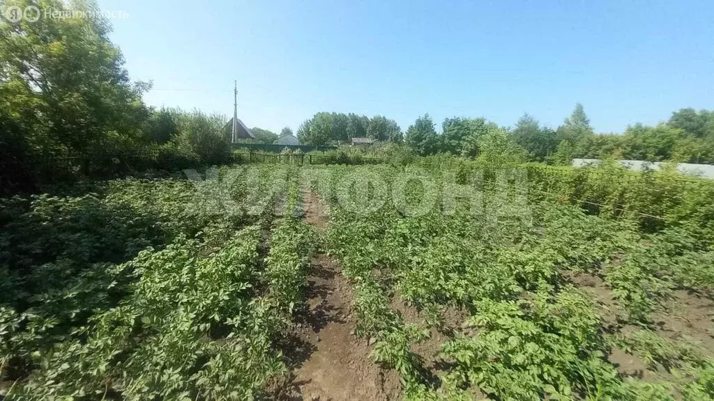 Участок в Новолуговской сельсовет, СНТ Наука, Плановая улица (5.5 м) - Фото 0