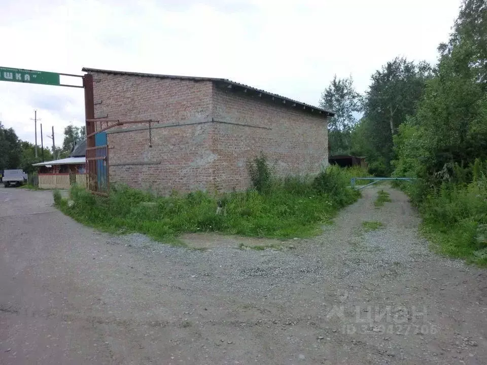 Торговая площадь в Новосибирская область, Новосибирск Ивушка СНТ, ул. ... - Фото 2