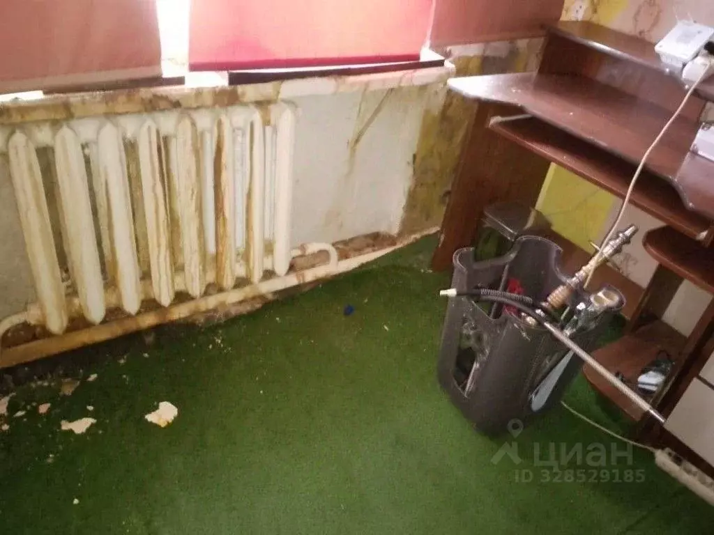 2-к кв. Самарская область, Елховский район, Никитинка с/пос, с. ... - Фото 1