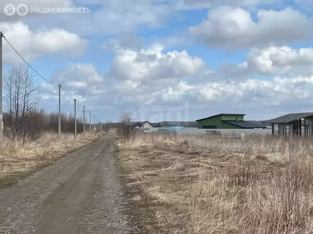 Участок в Калининградская область, Зеленоградский муниципальный округ, ... - Фото 2