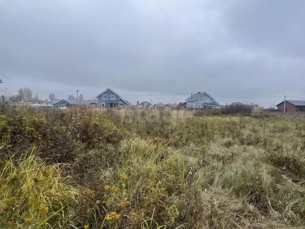 Участок в Костромская область, Костромской район, Шунгенское с/пос, д. ... - Фото 2