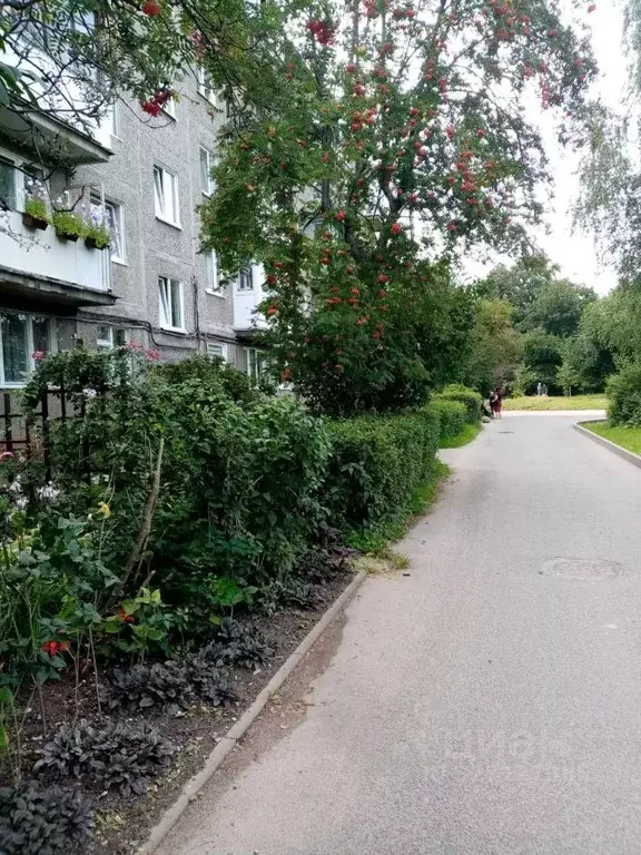 2-к кв. Калининградская область, Калининград Машиностроительная ул., ... - Фото 1