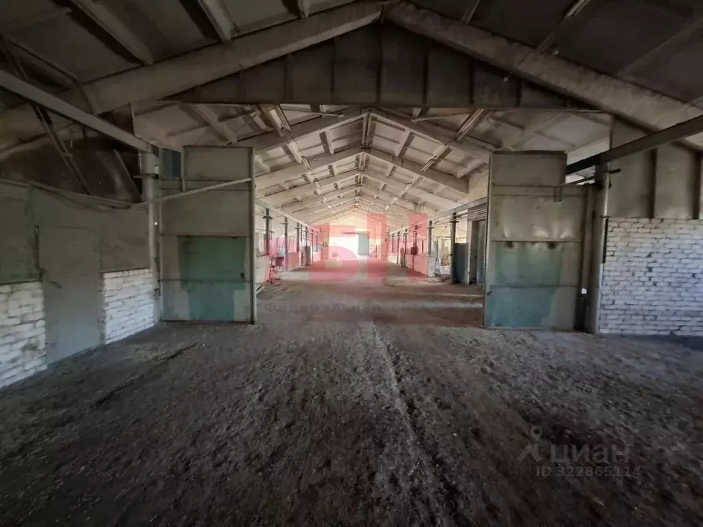 Производственное помещение в Самарская область, Кинель-Черкасский ... - Фото 1