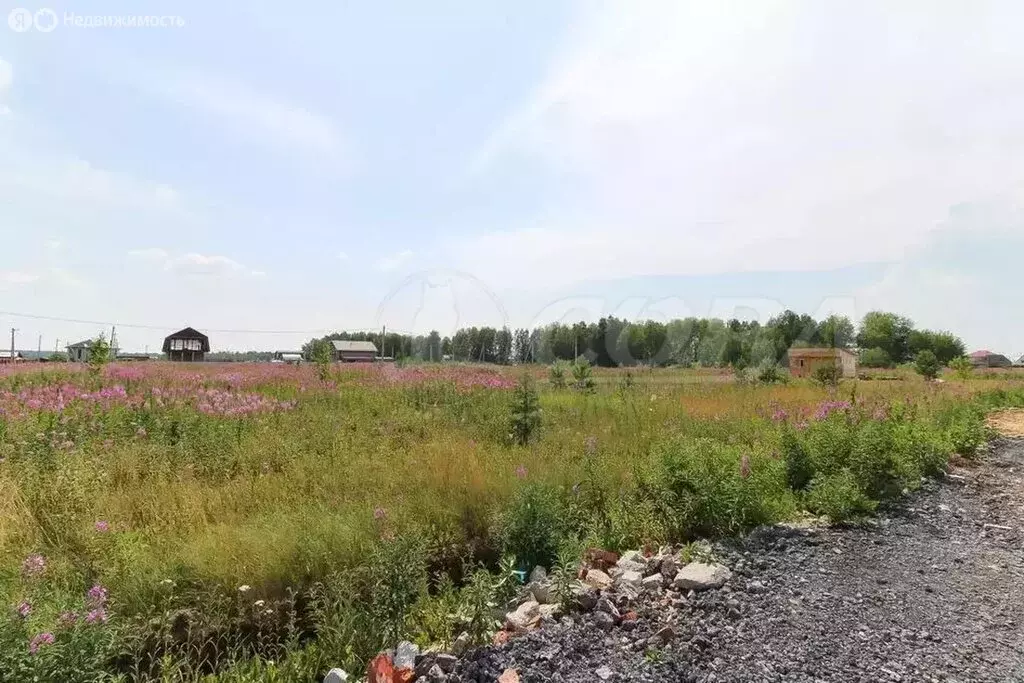 Участок в Зырянка, коттеджный посёлок Золотой лес (10 м) - Фото 1