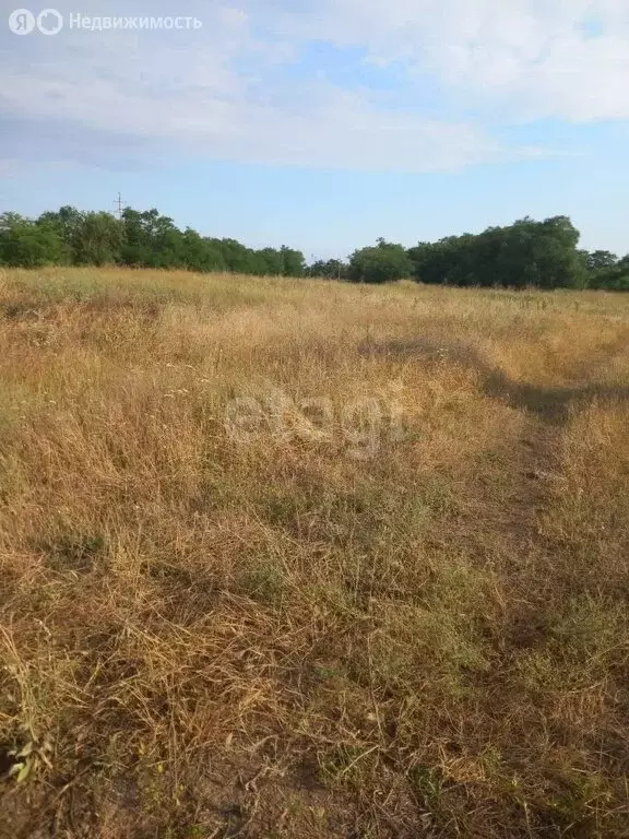 Участок в село Славное, Садовая улица (10 м) - Фото 1