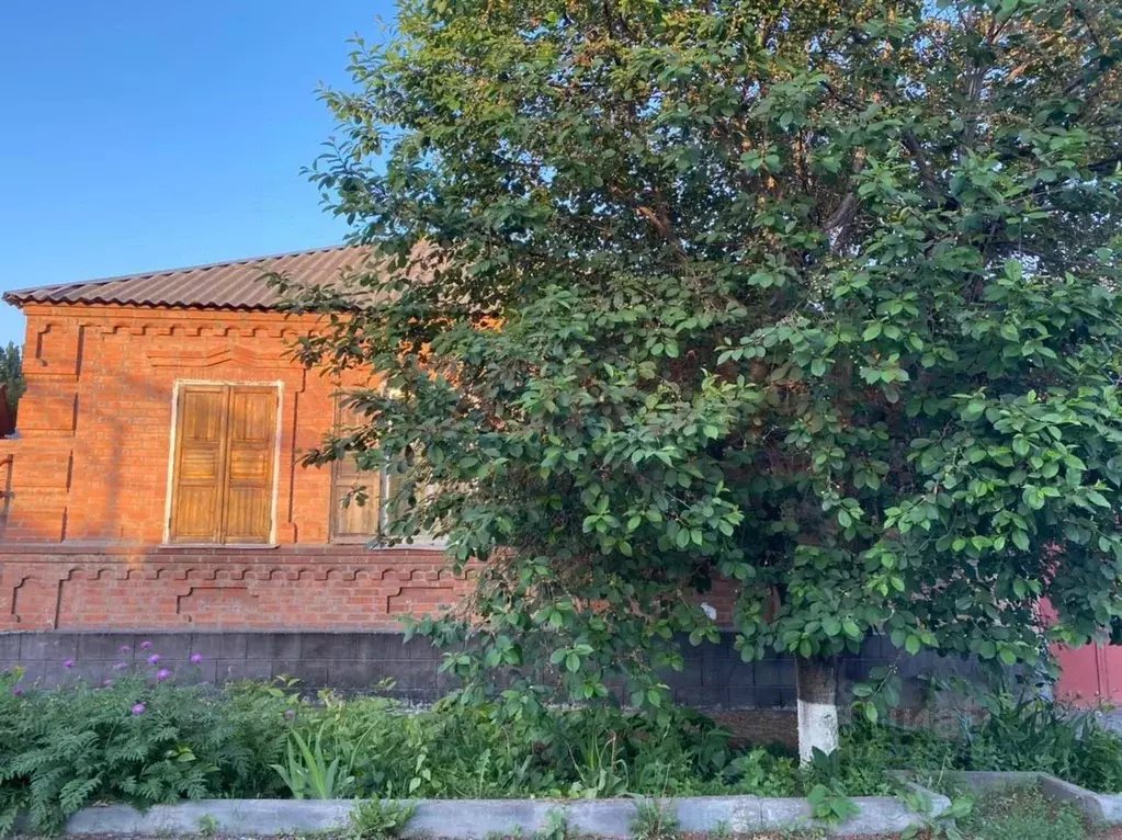 Участок в Ростовская область, Ростов-на-Дону 6-й Самобытный пер. (6.02 ... - Фото 1