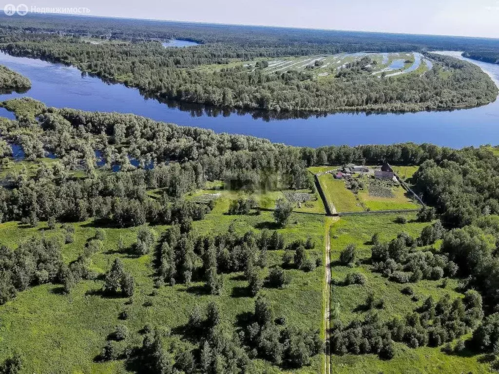 Участок в Нижнетавдинский район, село Андрюшино (10 м) - Фото 0