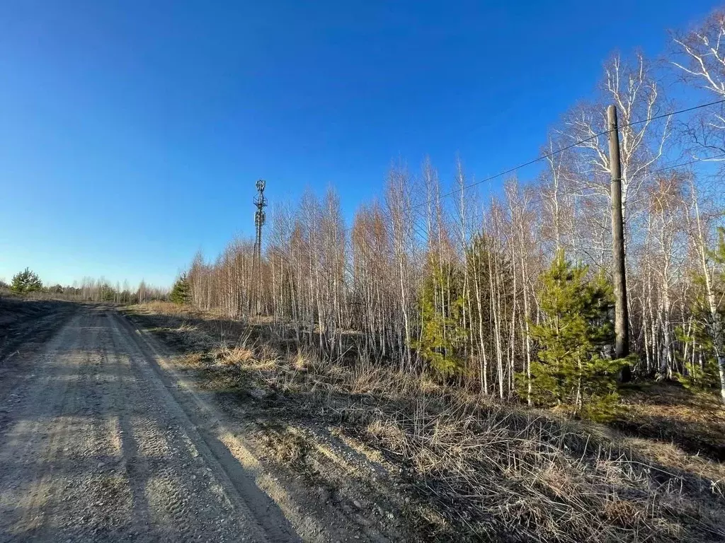 Участок в Иркутская область, Иркутский муниципальный округ, Лесное СНТ ... - Фото 2