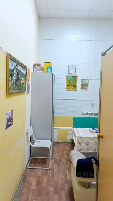 Помещение свободного назначения в Новосибирская область, Колывань рп ... - Фото 1