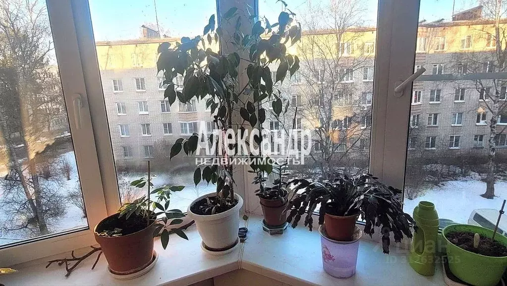3-к кв. Ленинградская область, Гатчина ул. Хохлова, 17 (56.0 м) - Фото 0