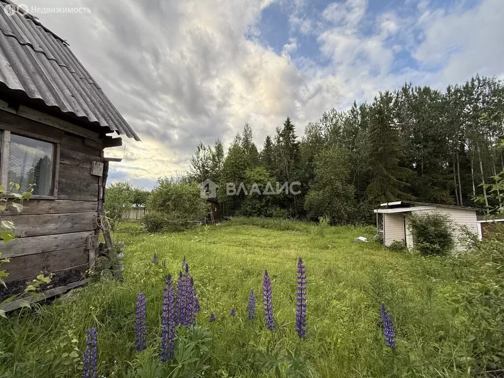 Участок в Деревянкское сельское поселение, СНТ Ручеёк, 88 (15 м) - Фото 1