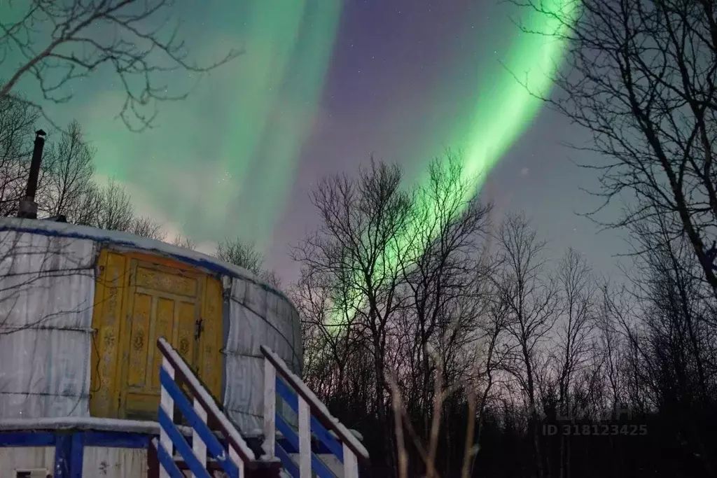 Участок в Мурманская область, Кольский район, Молочный городское ... - Фото 1