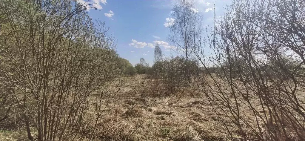Участок в Московская область, Талдомский городской округ, с. Великий ... - Фото 1