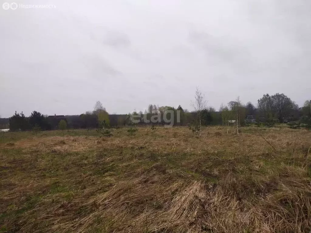 Участок в Калужская область, Дзержинский муниципальный округ, сельское ... - Фото 1