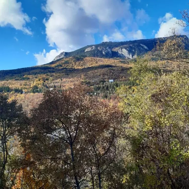 Участок в Крым, Ялта муниципальный округ, Гурзуф пгт ул. Приветная, 6 ... - Фото 2