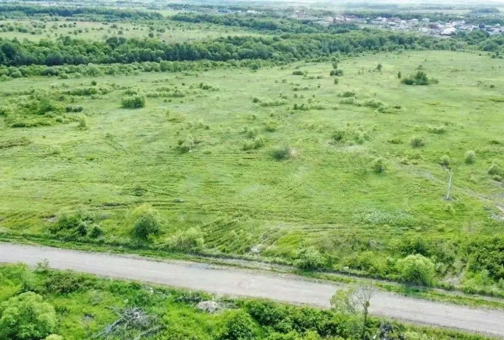 Участок в Хабаровский край, Хабаровский район, с. Краснореченское, ... - Фото 0