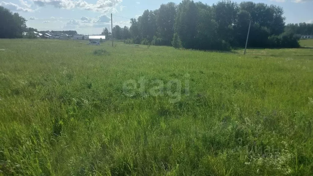 Участок в Алтайский край, Первомайский район, с. Фирсово, Полесье мкр  ... - Фото 2