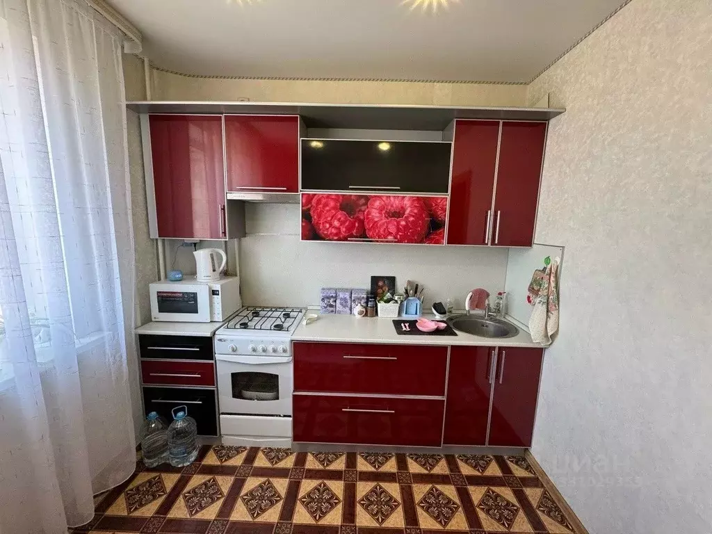 1-к кв. Белгородская область, Строитель Яковлевский городской округ, ... - Фото 1