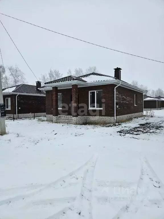 Дом в Воронежская область, с. Новая Усмань ул. Виноградная, 90 (87 м) - Фото 0
