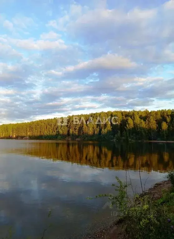 Дом в Пермский край, Суксунский городской округ, д. Красный Луг ул. ... - Фото 1