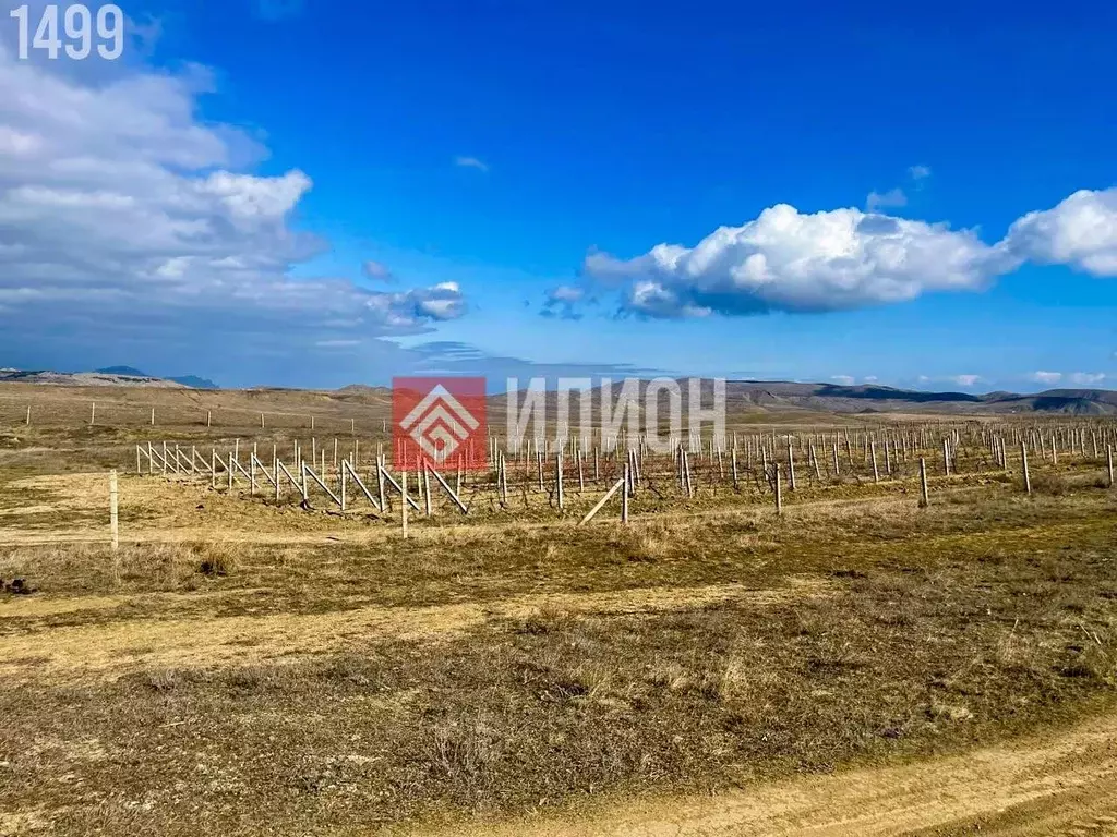 Участок в Крым, Судак городской округ, с. Миндальное, Солнечная Долина ... - Фото 0