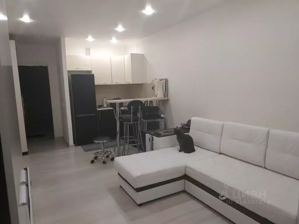 Студия Санкт-Петербург Ленинский просп., 82к1 (33.0 м) - Фото 0