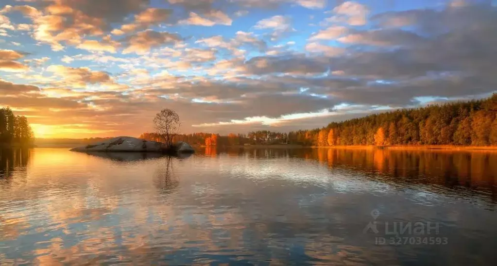 Коттедж в Ленинградская область, Приозерский район, Ларионовское ... - Фото 1