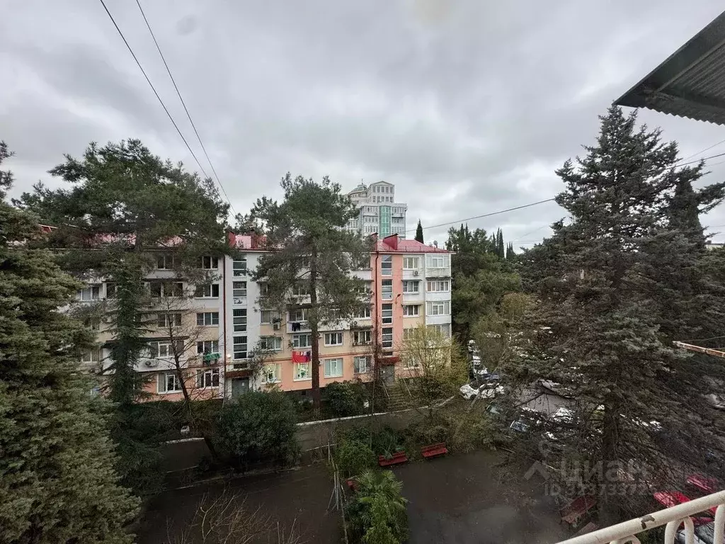 2-к кв. Краснодарский край, Сочи Адлер жилрайон, ул. Революции, 16А ... - Фото 1