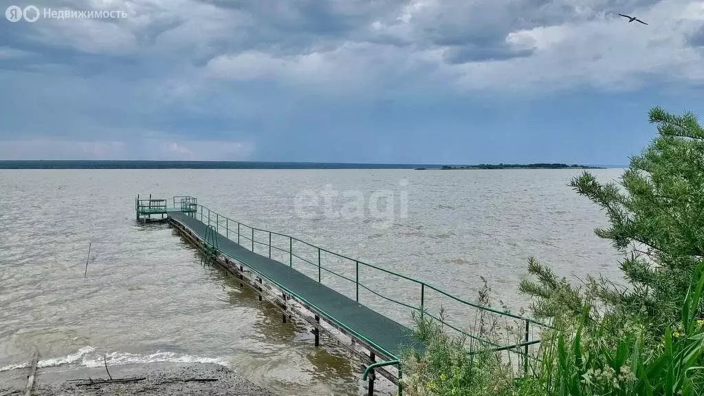 Участок в Ордынский район, село Красный Яр (20 м) - Фото 0