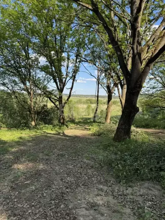 Участок в Калужская область, Совхоз Боровский с/пос, д. Николаевка  ... - Фото 1