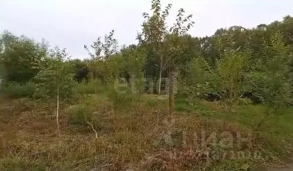 Участок в Сахалинская область, Долинский городской округ, с. Сокол, ... - Фото 2