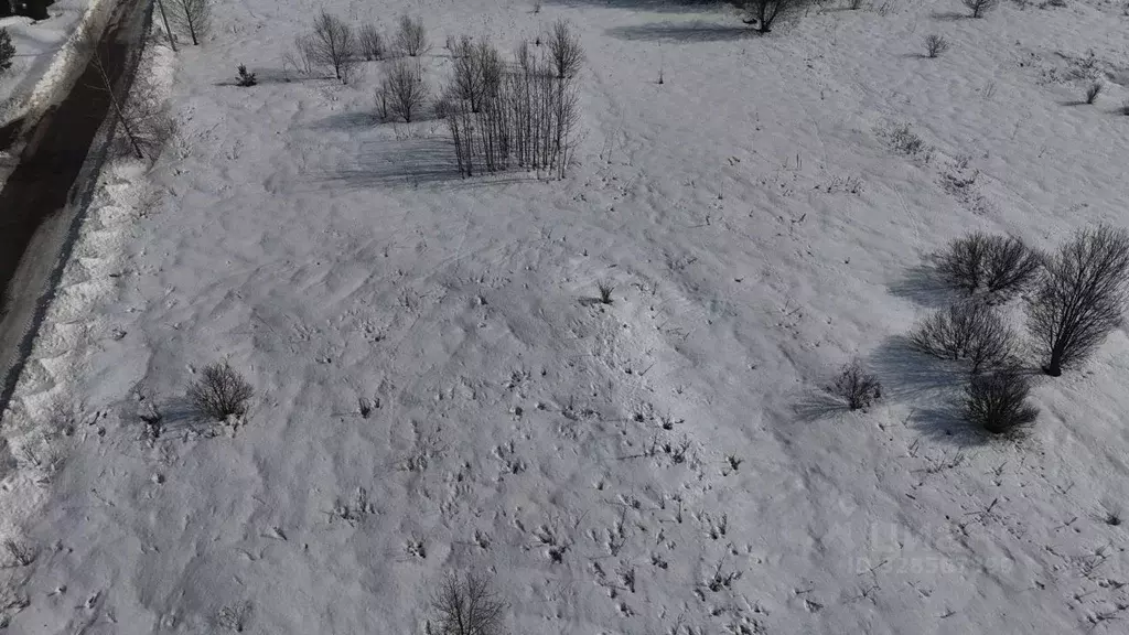 Участок в Московская область, Волоколамский муниципальный округ, д. ... - Фото 1