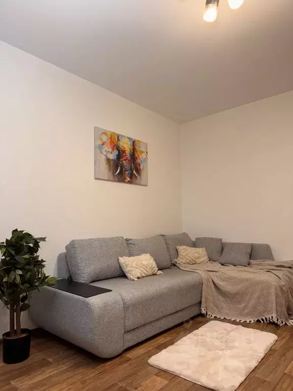 1-к кв. Санкт-Петербург Ленинский просп., 56 (34.9 м) - Фото 1