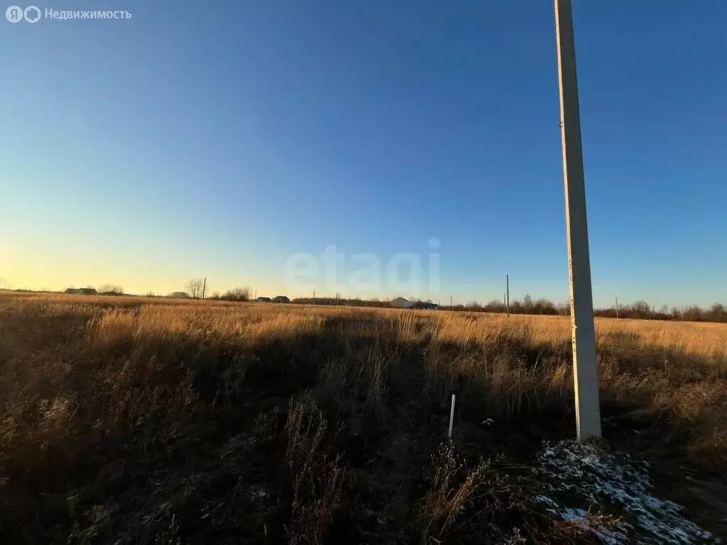 Участок в Костромской район, Бакшеевское сельское поселение, деревня ... - Фото 1