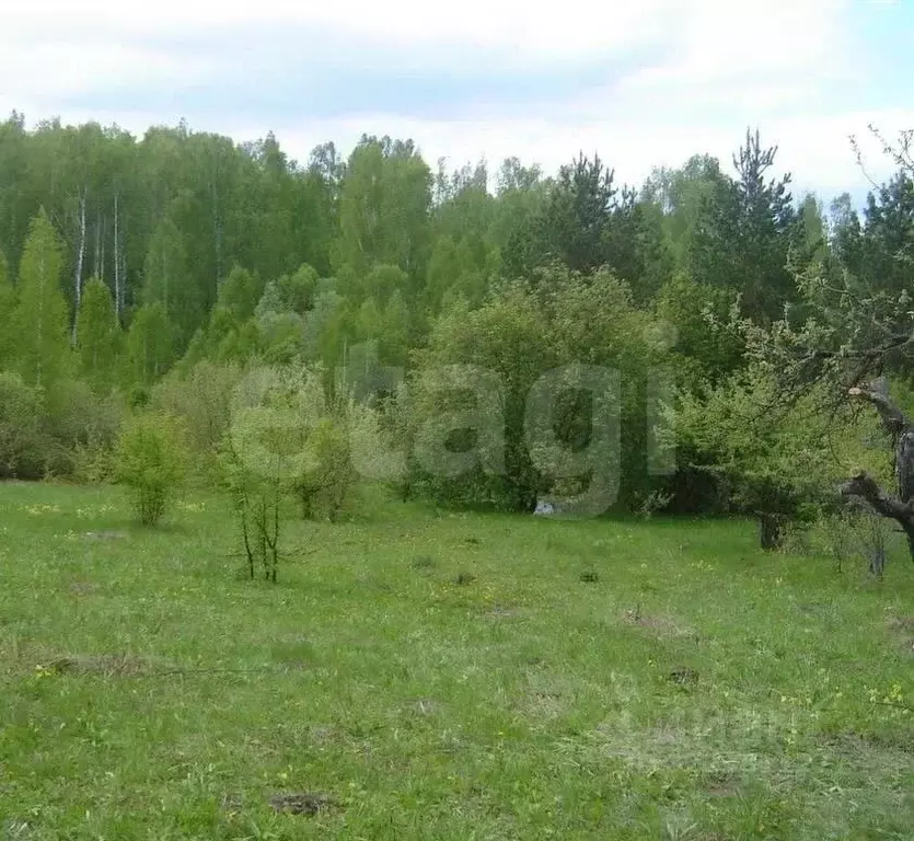 Участок в Мордовия, Лямбирский район, Скрябинское с/пос, д. ... - Фото 1