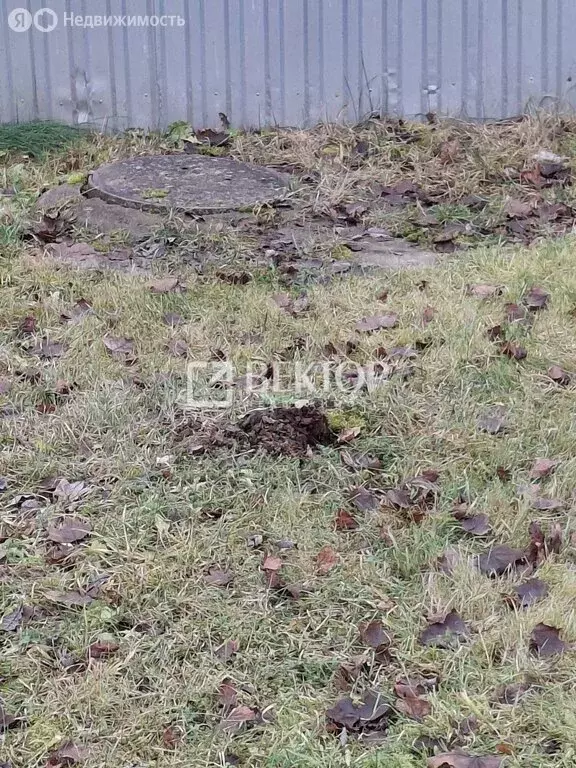 Участок в Красное-на-Волге, улица Калинина, 19 (12.27 м) - Фото 2