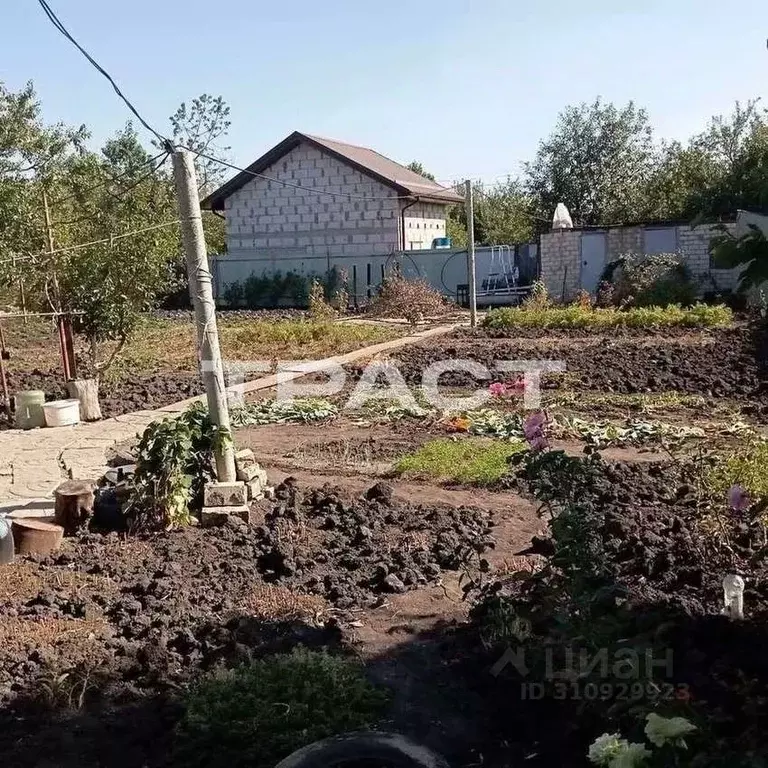 Участок в Воронежская область, Хохольское городское поселение, ... - Фото 0