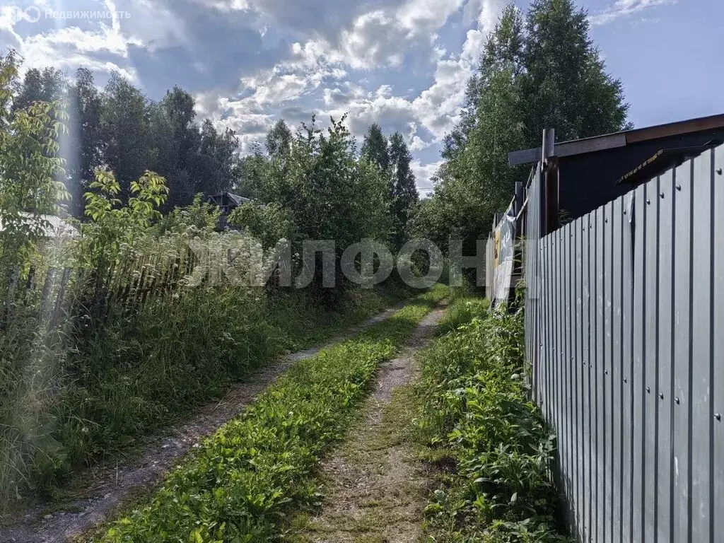 Участок в Новосибирск, НСТ Ветеран (6 м) - Фото 1