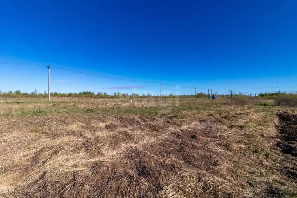 Участок в Тюменская область, Тюмень Большое Царево-1 СНТ,  (9.96 сот.) - Фото 1