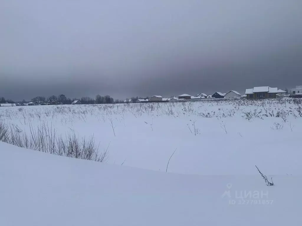Участок в Московская область, Богородский городской округ, д. Ивашево  ... - Фото 1