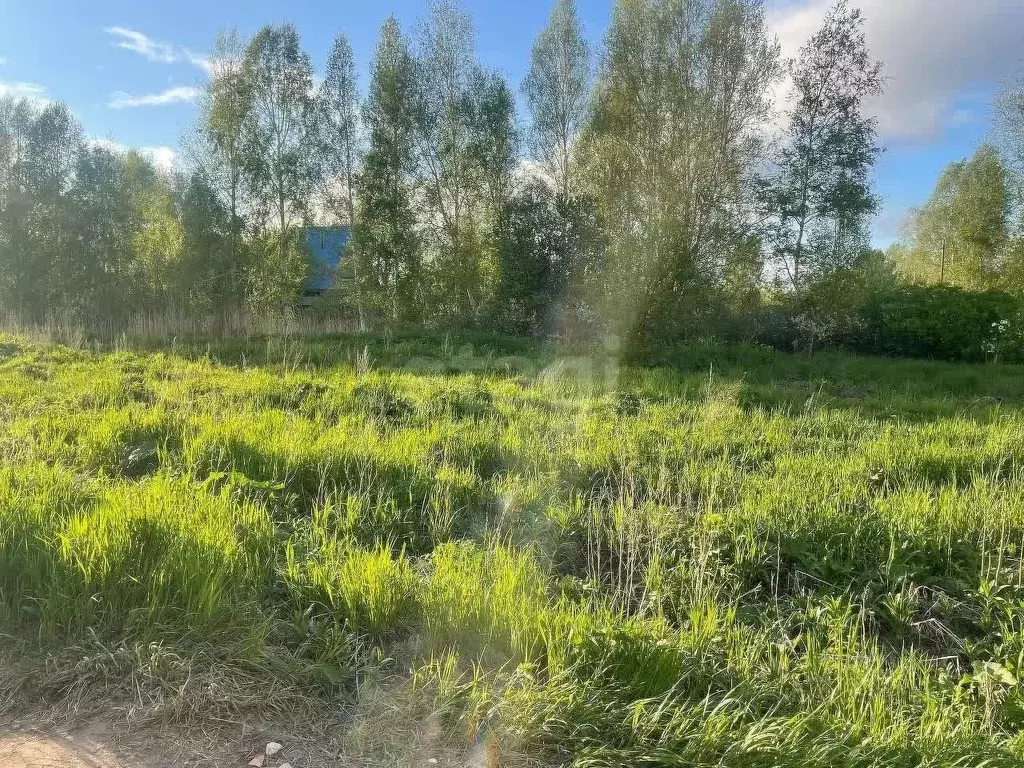 Участок в Тюменская область, Тюменский район, д. Ошкукова Новая ул. ... - Фото 2