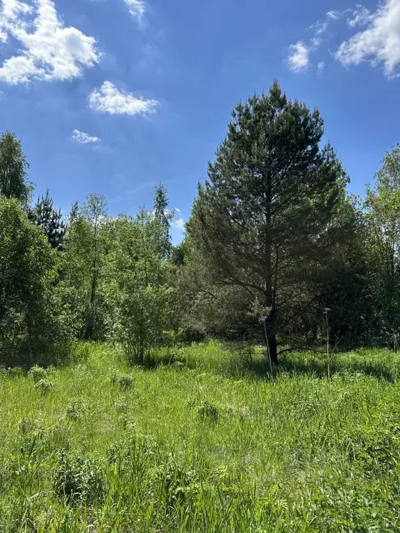 Участок в Московская область, Красногорск городской округ, д. ... - Фото 0