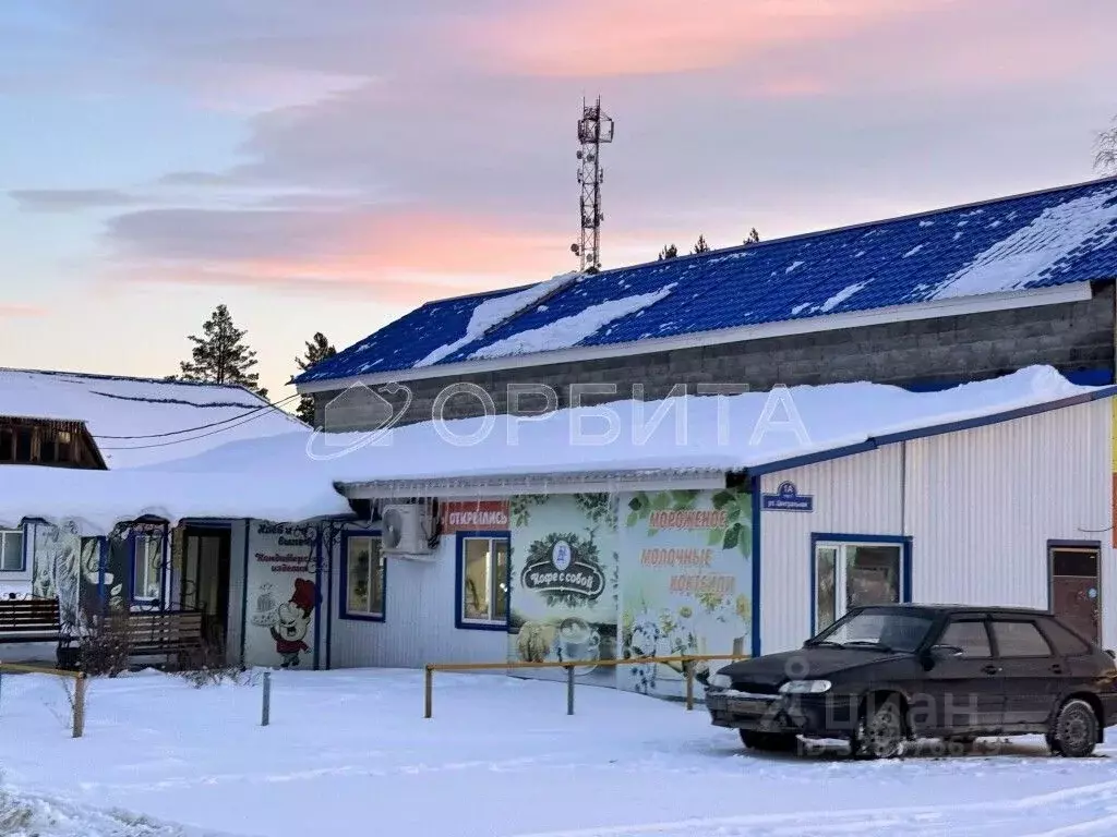 Участок в Тюменская область, Нижнетавдинский муниципальный округ, с. ... - Фото 2
