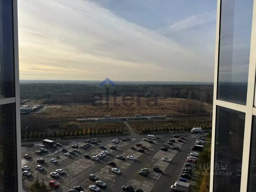 3-к кв. Татарстан, Лаишевский район, Столбищенское с/пос, с. Усады ул. ... - Фото 2