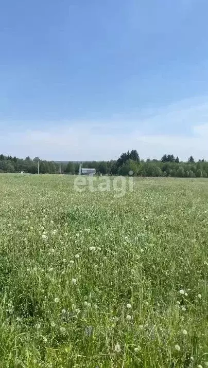 участок в пермский край, краснокамский городской округ, пос. ласьва . - Фото 1