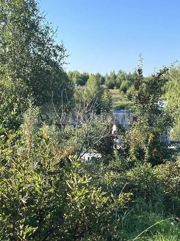 Участок в Томская область, Томск пл. Ленина (2.0 сот.) - Фото 1